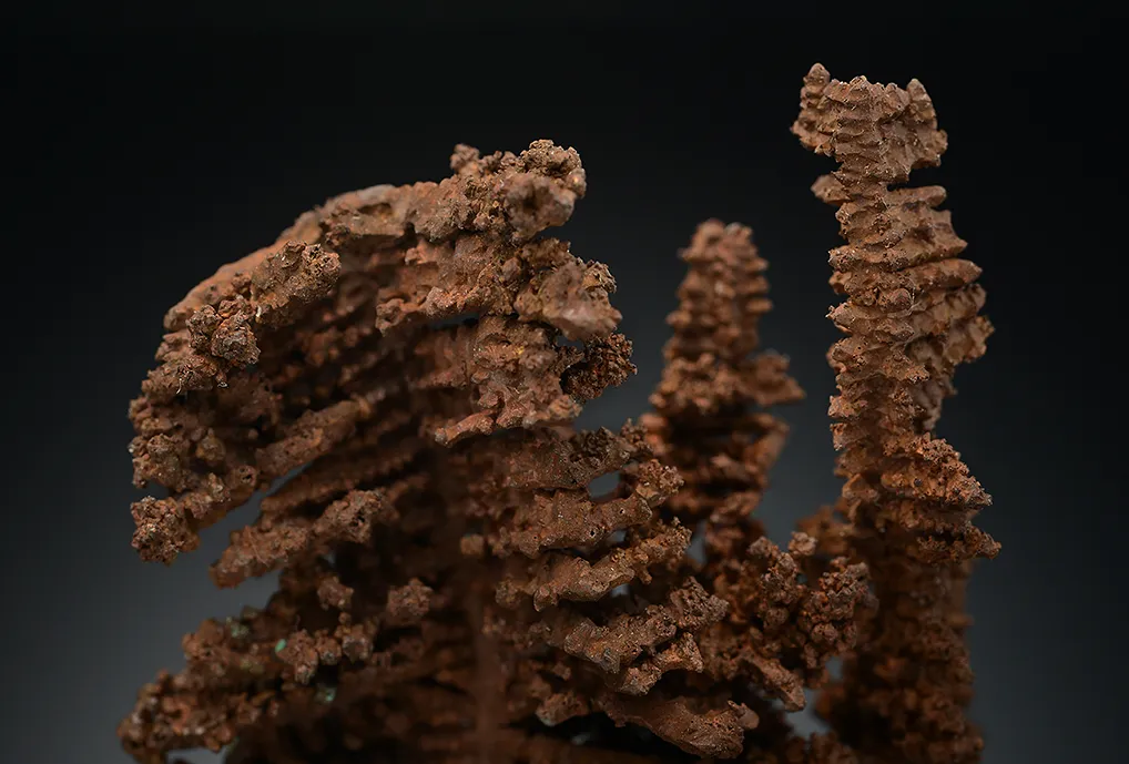 Copper - image 5