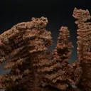 Copper - image 5