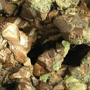 Copper - image 2
