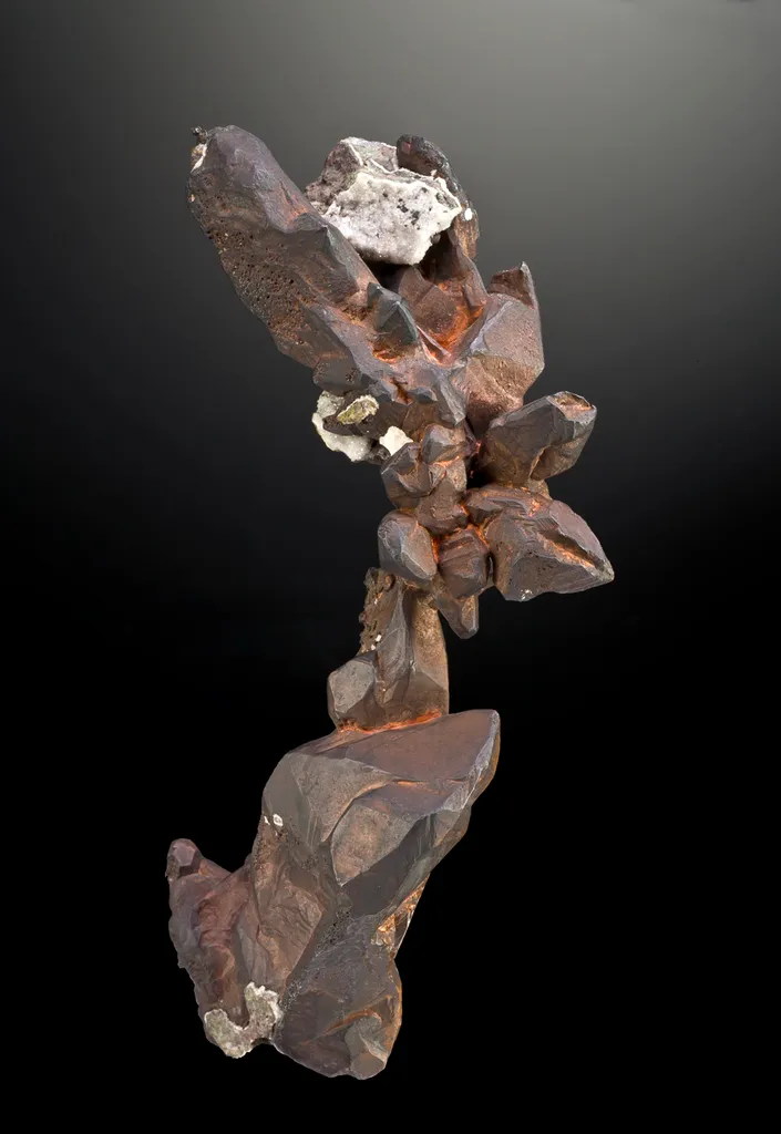 Copper - image 3