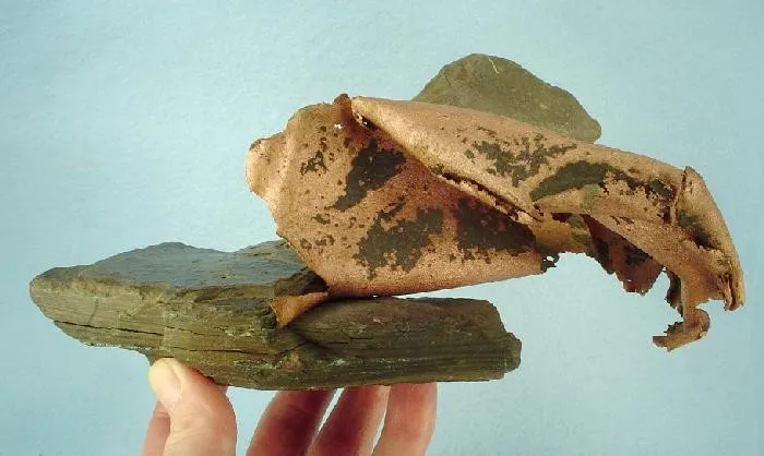 Copper - image 2