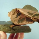 Copper - image 2