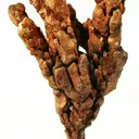 Copper - image 2