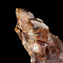 Copper (1800's label) - image 6