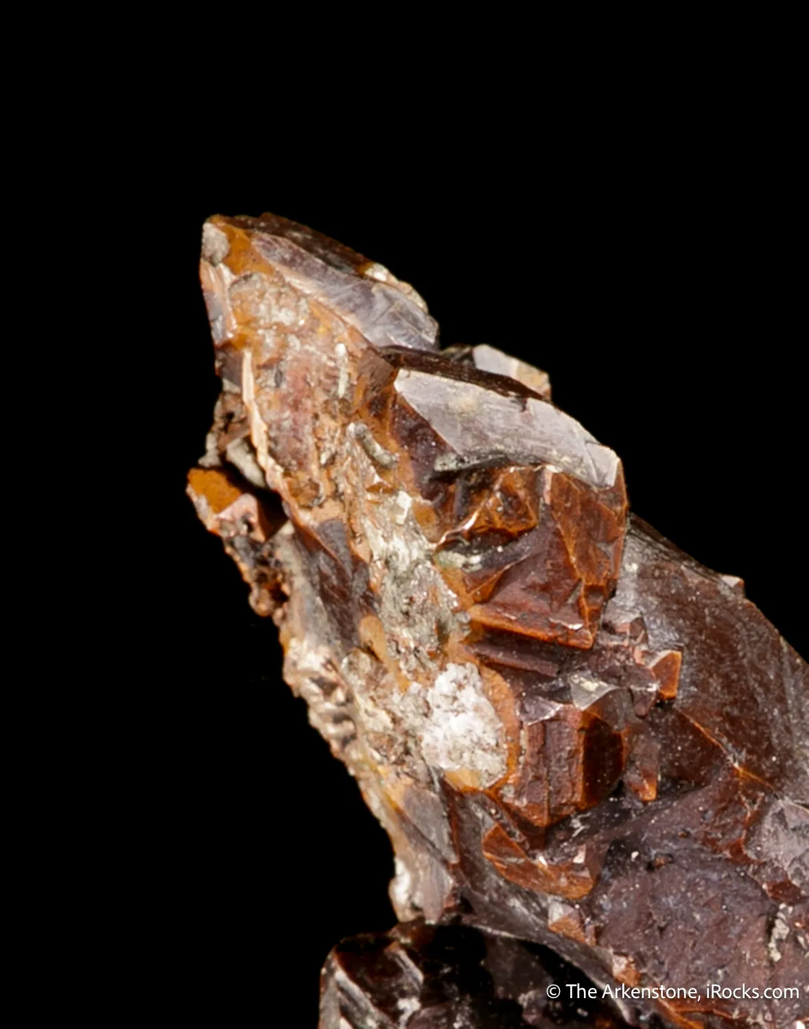 Copper (1800's label) - image 6