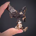 Copper (1800's label) - image 2