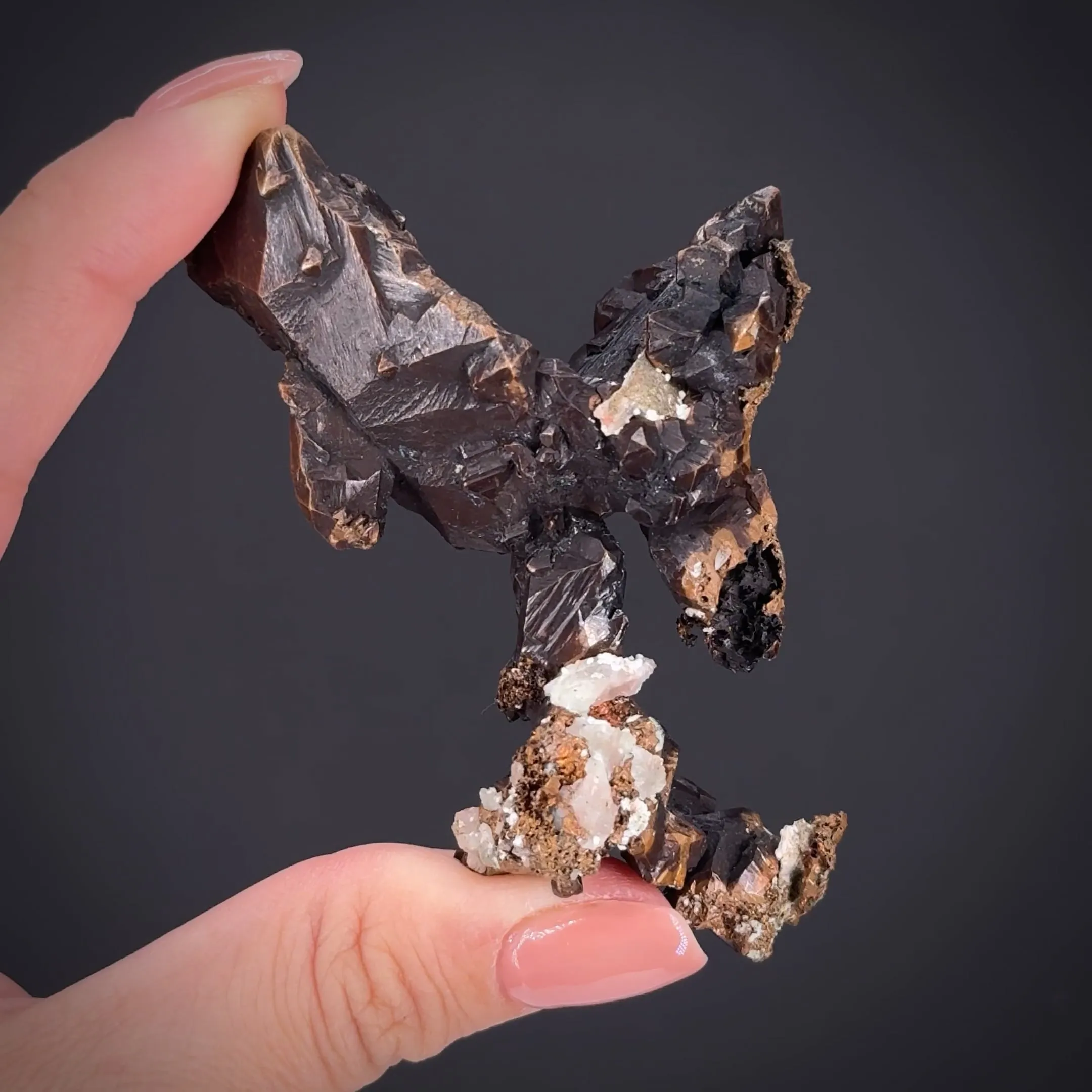 Copper (1800's label) - image 2