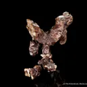 Copper (1800's label) - image 1