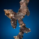 Copper (1800's label) - image 8