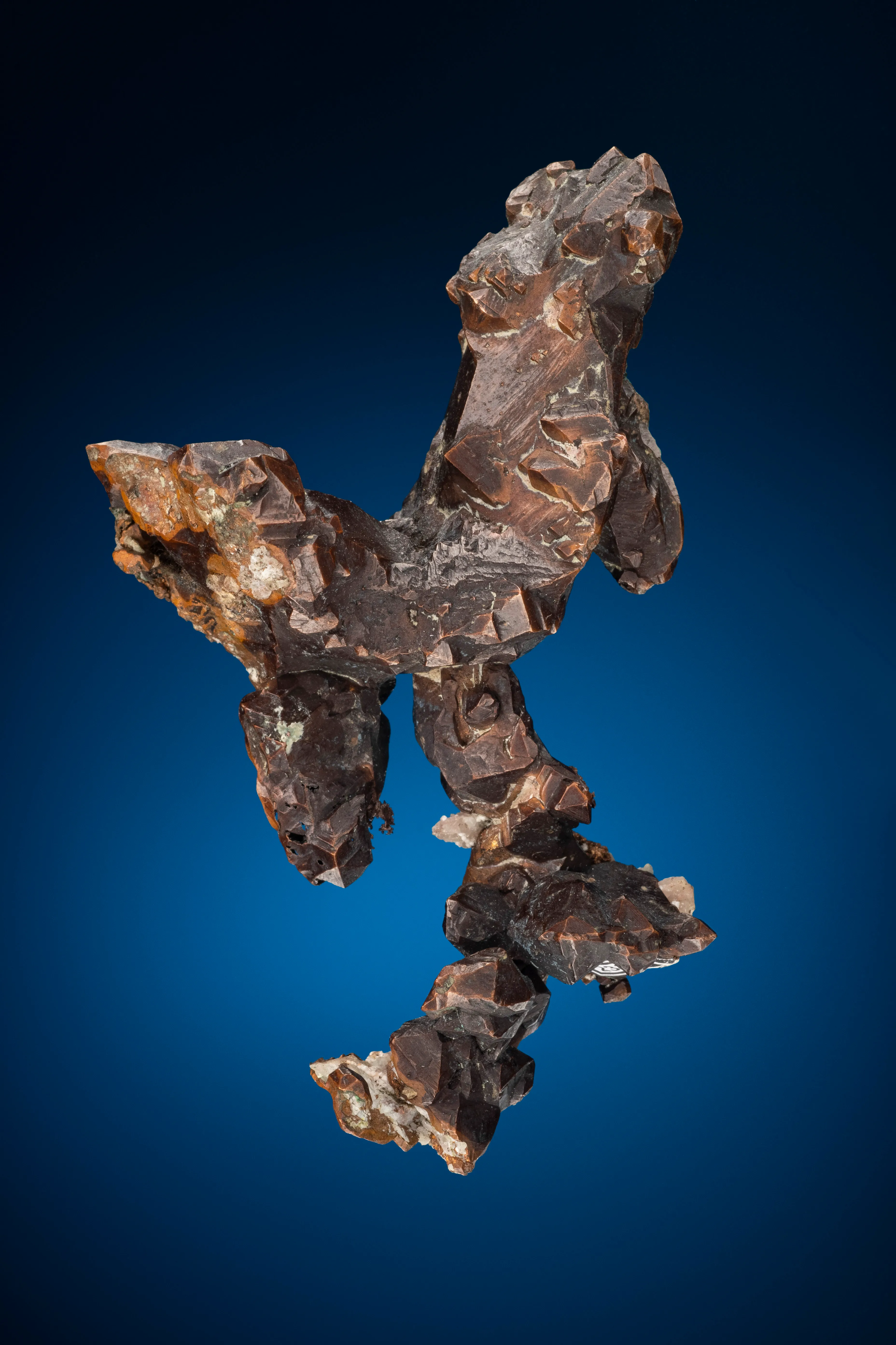 Copper (1800's label) - image 8