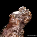 Copper (1800's label) - image 5