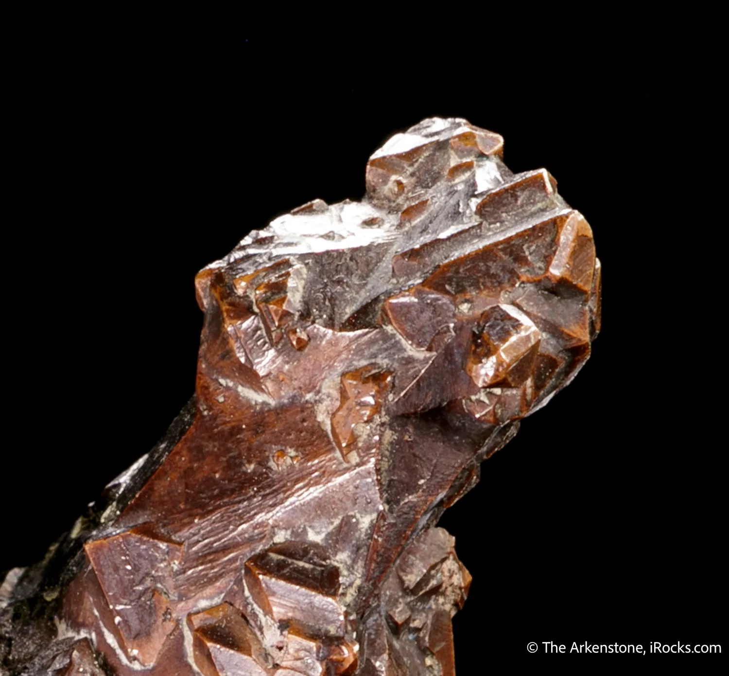 Copper (1800's label) - image 5