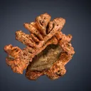Copper - image 1