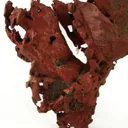 Copper - image 3