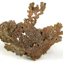 Copper - image 2