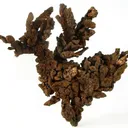 Copper - image 1