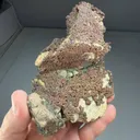 Copper (245) - image 2