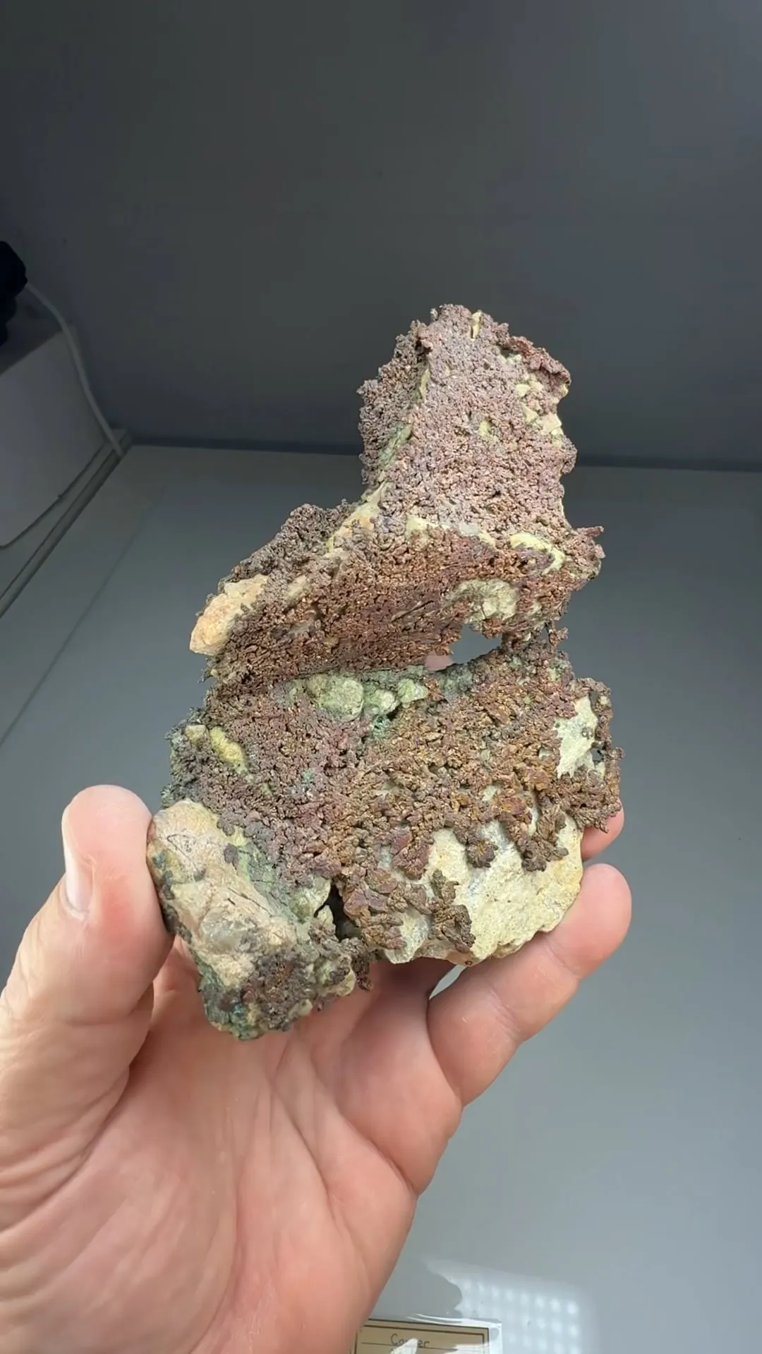 Copper (245) - image 2