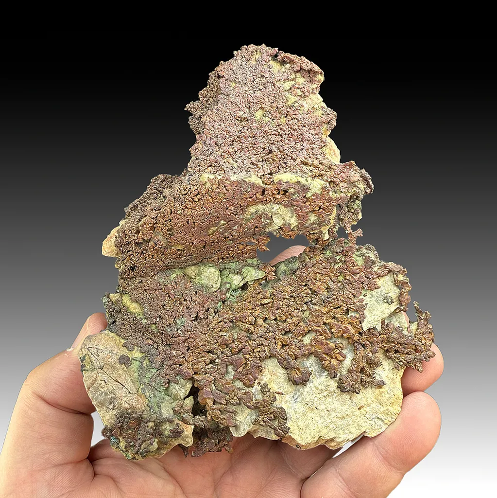 Copper (245) - image 1