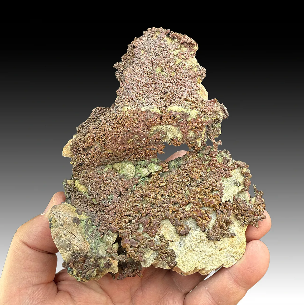 Copper (245) - image 1