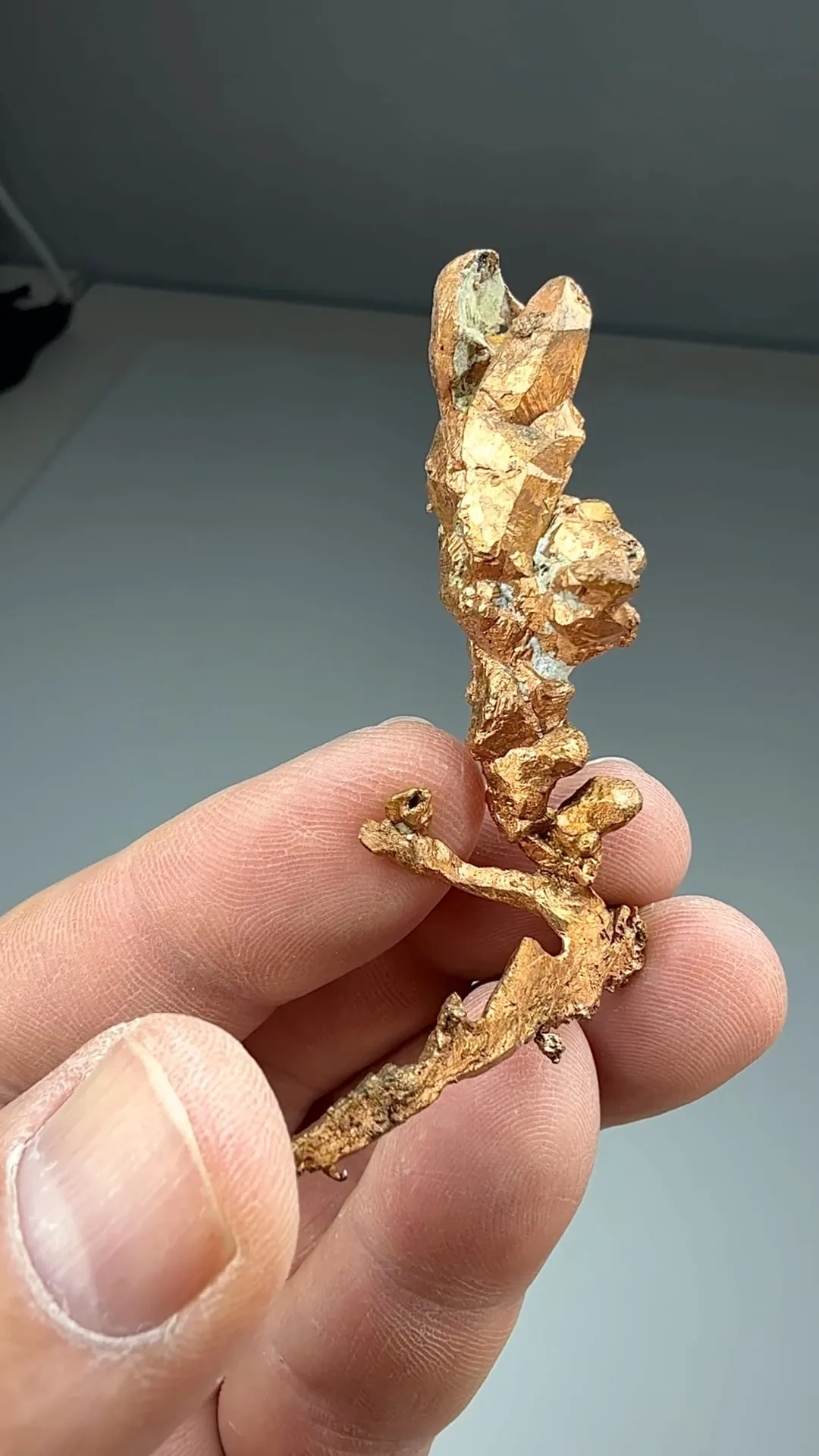 Copper (2514) - image 2