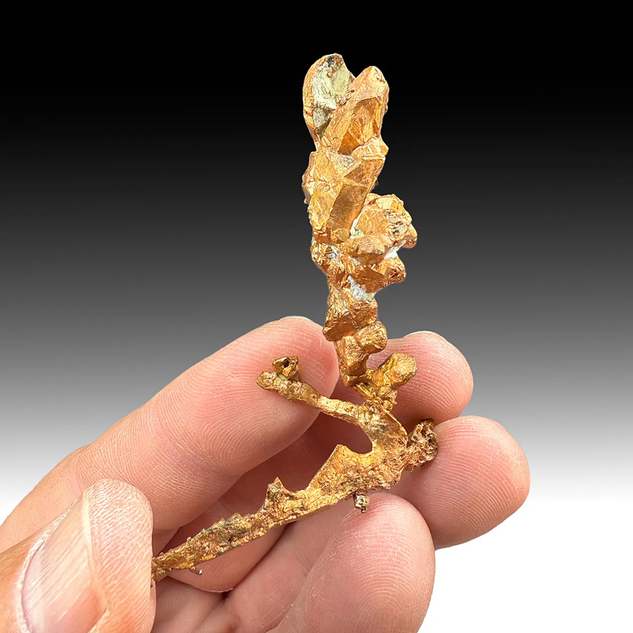 Copper (2514) - image 1