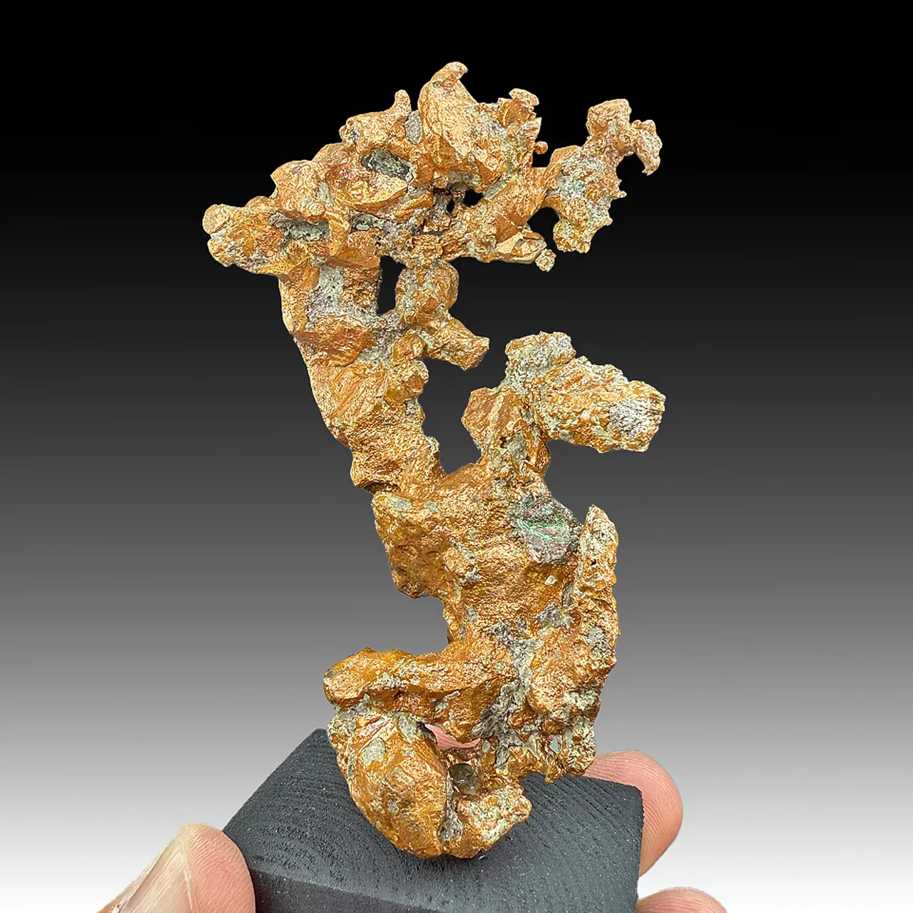 Copper (2556) - image 1