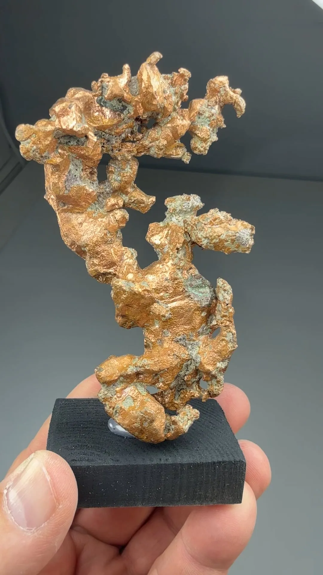 Copper (2556) - image 2