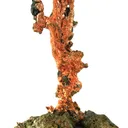 Copper - image 4