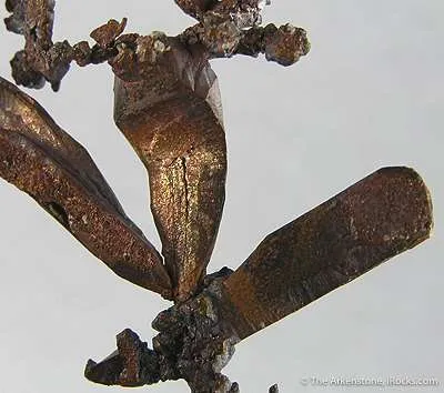 Copper - image 3