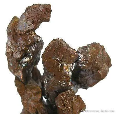 Copper - image 3
