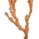 Copper - image 1