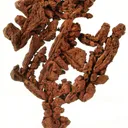 Copper - image 3