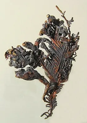 Copper image