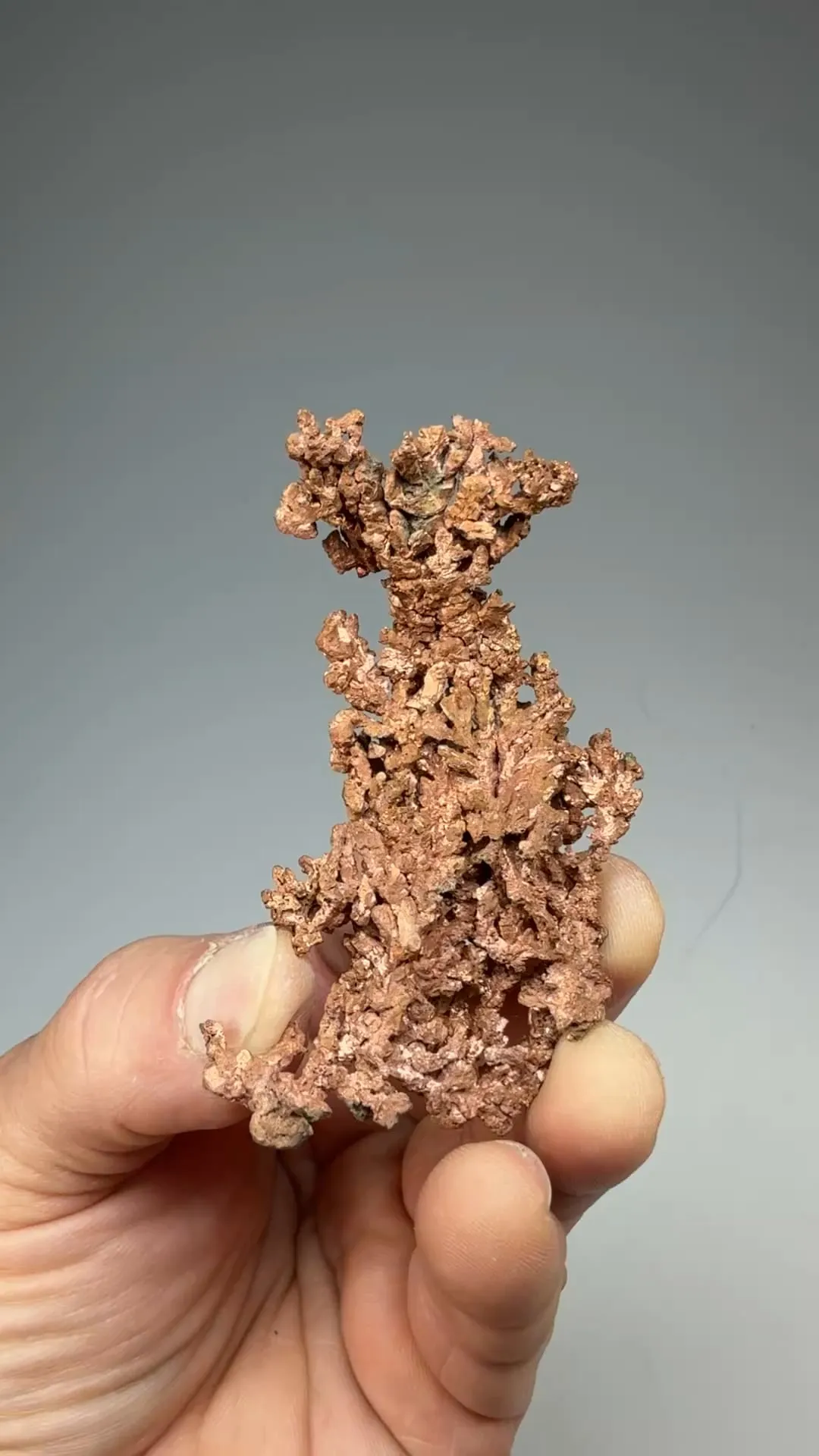 Copper - image 2