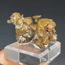 Copper - image 3