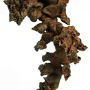 Copper - image 2