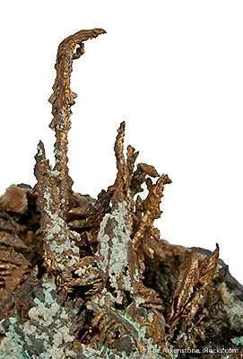 Copper - image 3