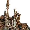 Copper - image 3