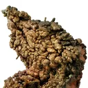 Copper - image 3