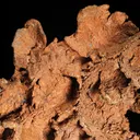 Copper - image 3
