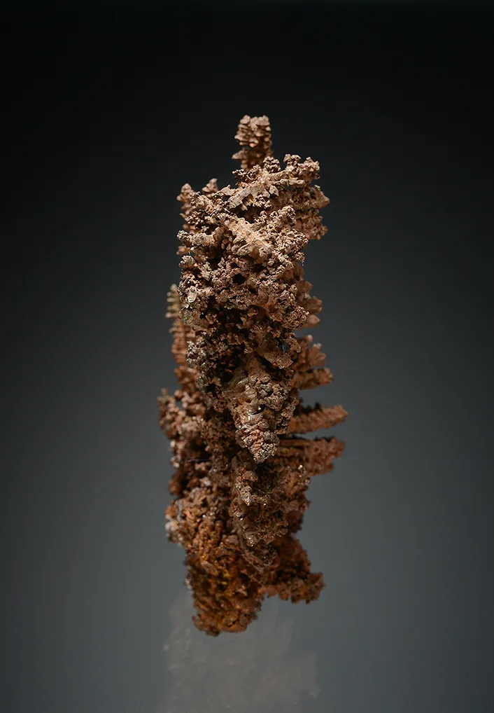 Copper - image 4