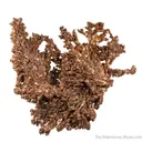 Copper - image 5