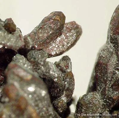 Copper - image 3