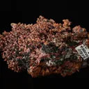Copper - image 3