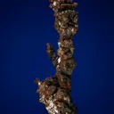 Copper - image 4