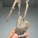 Copper - image 2
