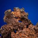 Copper - image 3