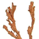 Copper - image 2