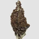 Copper - image 3